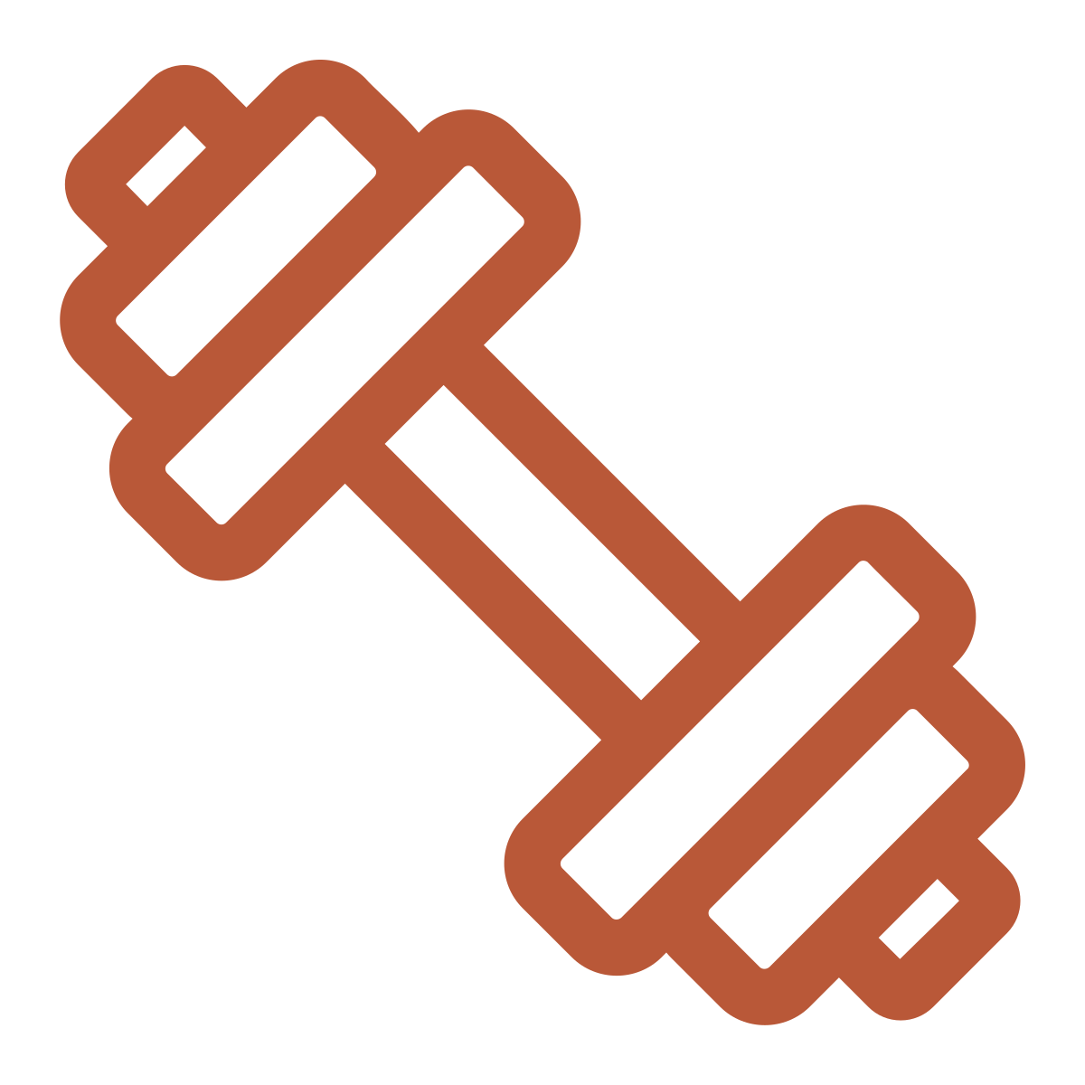 noun-dumbell-6794350-B95838