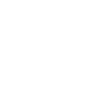 security-icon-wine-white